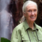 Dr. Jane Goodall